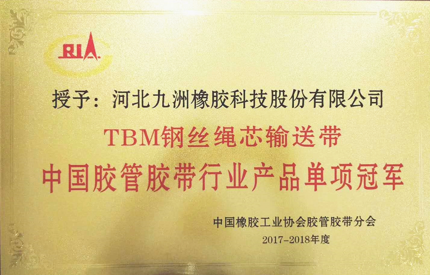 中國TBM鋼絲繩芯輸送帶冠軍稱號